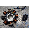 stator 8 Poles chinois125 gy6 152qmi exterieur 88mm - intérieur 28.9mm - entraxe 42.4mm
