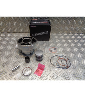 cylindre piston fonte diam 47 mm naraku moteur minarelli am6 mecaboite dt rs tzr mrt smx mrx x limit power trigger ... NK102.68