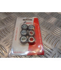 6 galets variateur JASIL 20 X 12 mm - 10 gr scooter 125 italjet malaguti mbk yamaha x-max n-max evolis madison skycruiser ...